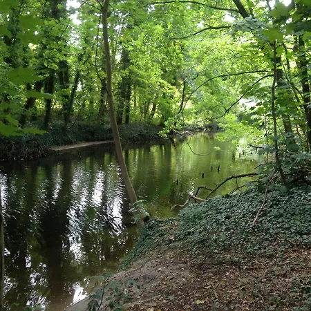 Am Einsteinhaus Διαμέρισμα *