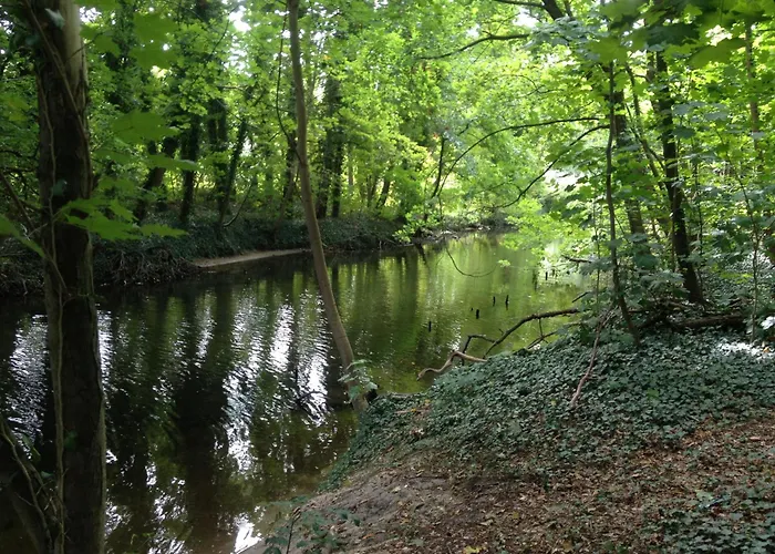 Am Einsteinhaus Daire *